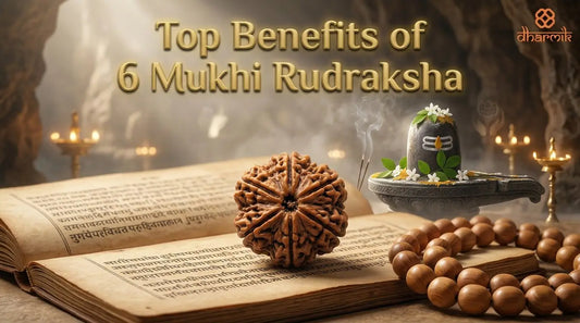 "Top Benefits of 6 Mukhi Rudraksha"