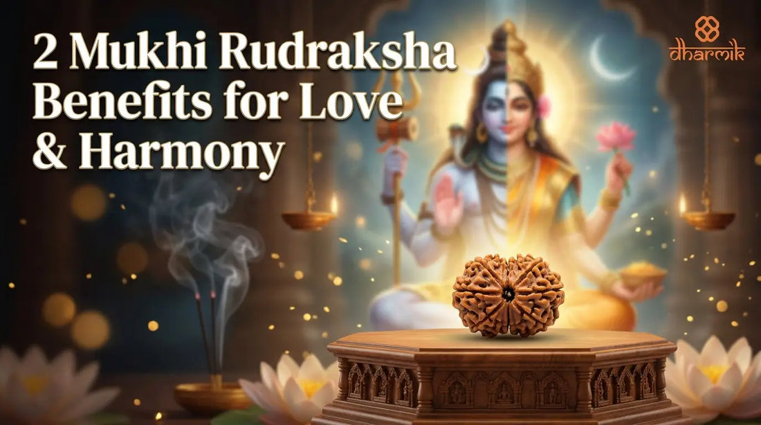 2 Mukhi Rudraksha: Shiva-Shakti Bead for Relationship Harmony