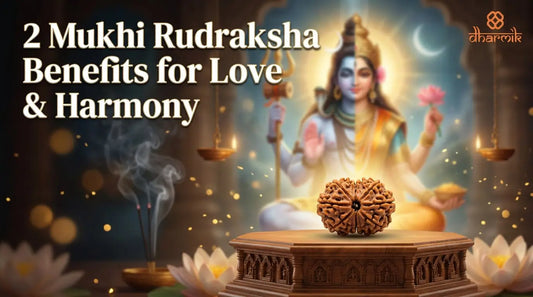 2 Mukhi Rudraksha: Shiva-Shakti Bead for Relationship Harmony