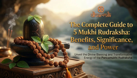 5 Mukhi Rudraksha Benefits: Guide to Its Popularity & Use