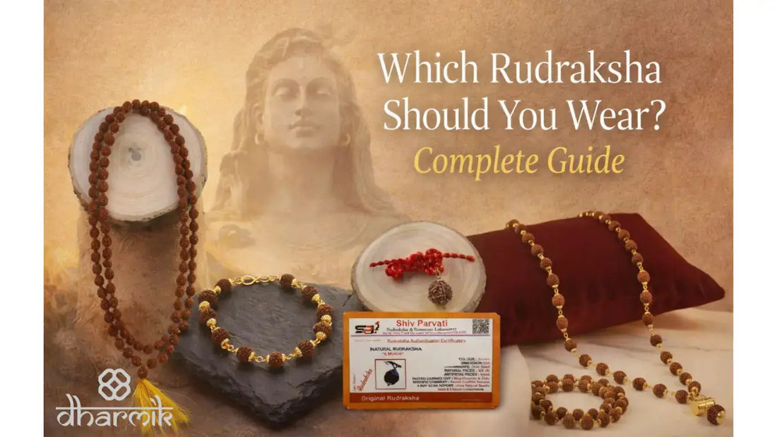 Rudraksha mala, bracelet, and pendant displayed with an authenticity certificate against a spiritual backdrop featuring Lord Shiva, representing a complete guide on which Rudraksha to wear.