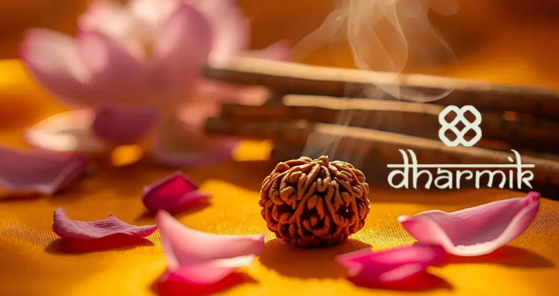 6 Mukhi Rudraksha