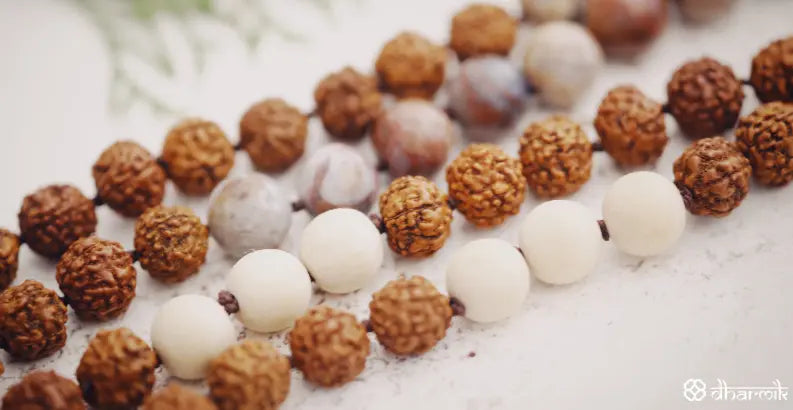 8 mukhi Rudraksha