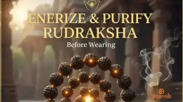 Energize and purify rudraksha