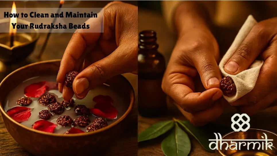 Rudraksha 