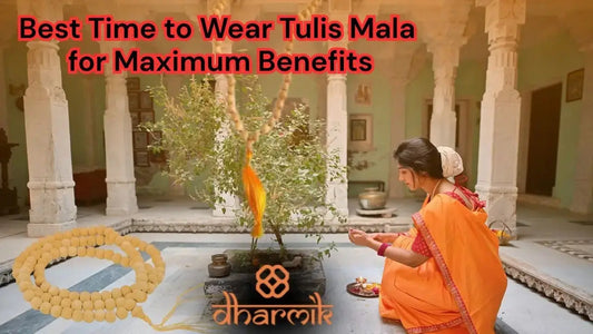 Sacred Tulsi plant associated with purity, devotion, and positive energy