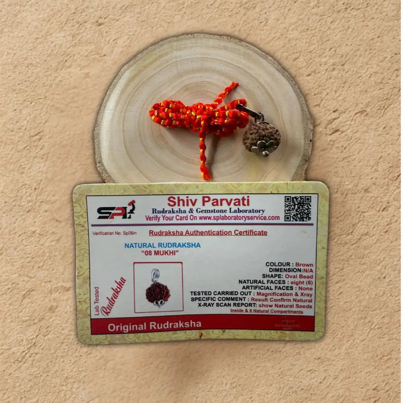 8 mukhi Rudraksha placed on wooden slice and certificate