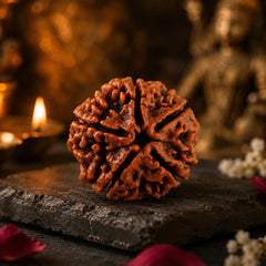 Panch Mukhi Rudraksha - Original with Certificate - Nepali, Blessed in Kashi