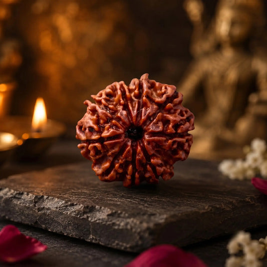 9 Mukhi Rudraksha bead with seven natural mukhis on a stone slab beside a lit diya