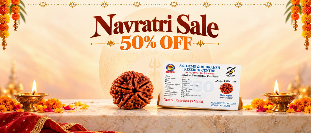 festive sale 50% off