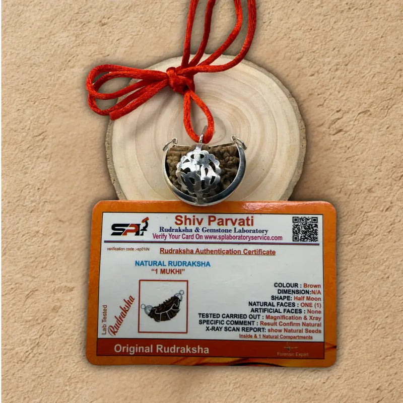 Original 1 Mukhi Rudraksha with Certificate placed on a wooden plate