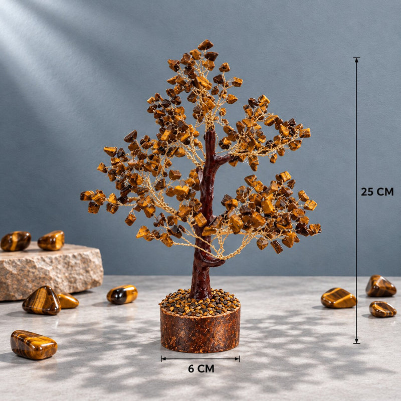 Tiger's eye tree dimensions 
